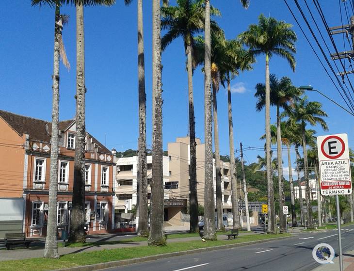 Rua das Palmeiras - Blumenau - Estado de Santa Catarina - Regio Sul - Brasil