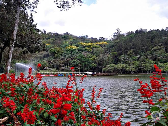 Parque Malwee - Jaragu do Sul - Estado de Santa Catarina - Regio Sul - Brasil