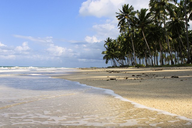 Praia dos Carneiros - Tamandar - Estado de Pernambuco - Regio Nordeste - Brasil