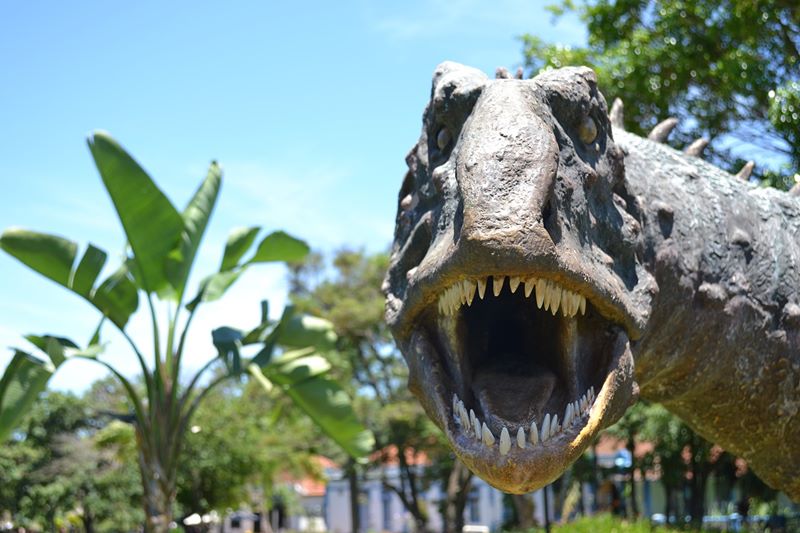 Museu dos Dinossauros - Peirpolis - Uberaba - Estado de Minas Gerais - Regio Sudeste - Brasil