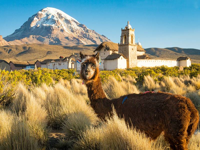 O Nevado Sajama  um dos muitos atrativos da Bolvia, um pas surpreendente. Foto: Alain Bonnardeaux