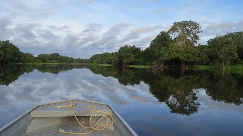 Rio Guapor - Amaznia - Amazonas - Regio Norte - Brasil