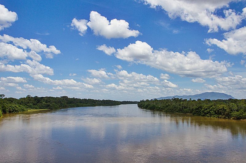 Parque Nacional do Viru - Caracara - Estado de Roraima - Regio Norte - Brasil