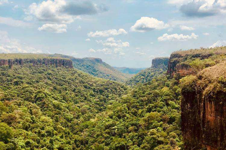 Parque Nacional da Chapada dos Guimares - Chapada dos Guimares - Estado de Mato Grosso - Regio Centro-Oeste - Brasil