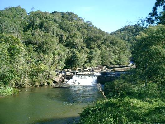 Rio Paraibuna - Parque Estadual da Serra do Mar - Ncleo Cunha-Indai - Cunha - Estado de So Paulo - Regio Sudeste - Brasil