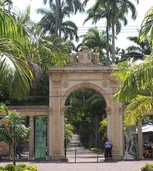 Jardim Botnico - Instituto de Pesquisas Jardim Botnico do Rio de Janeiro - Estado do Rio de Janeiro - Regio Sudeste - Brasil