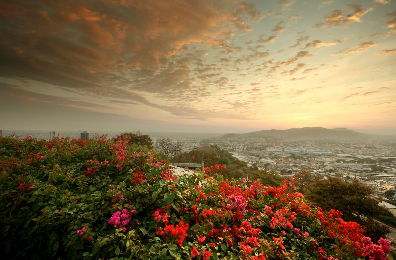 Vista de Guayaquil, cidade-sede da Final da Copa Libertadores de 2022. Foto: Oliver Hadfield
