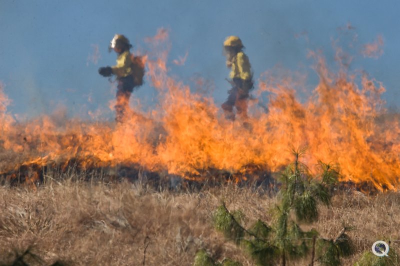 Brigadistas, combate a incndios florestais