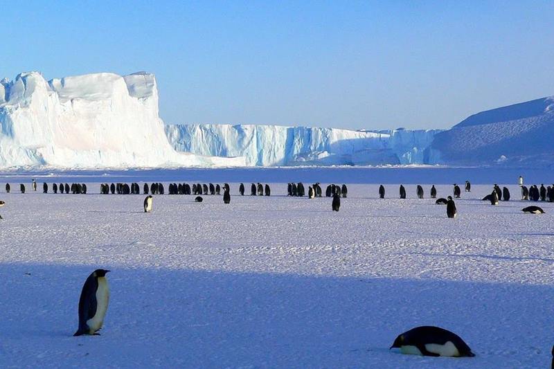 Observar as incrveis paisagens da Antrtica est entre as opes de voos para 'lugar nenhum', ou seja, voos com embarque e desembarque no mesmo aeroporto.